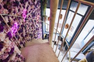 Images for Highbury Park, Islington