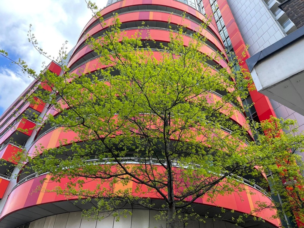 Images for Barking Road, Canning Town, London EAID:1045282125 BID:DAN