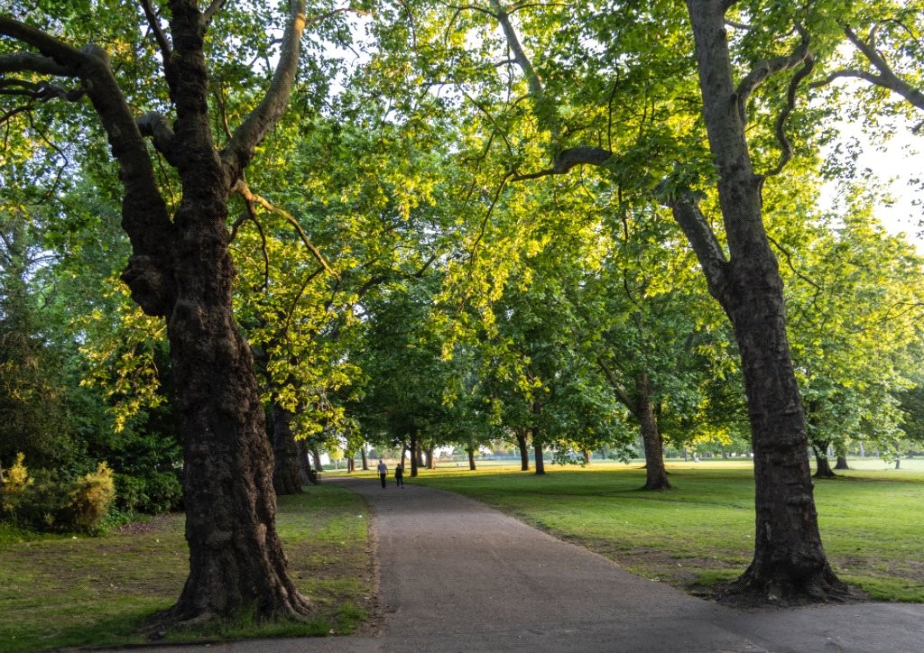 Images for Islington, London EAID:1045282125 BID:DAN