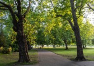 Images for Islington, London