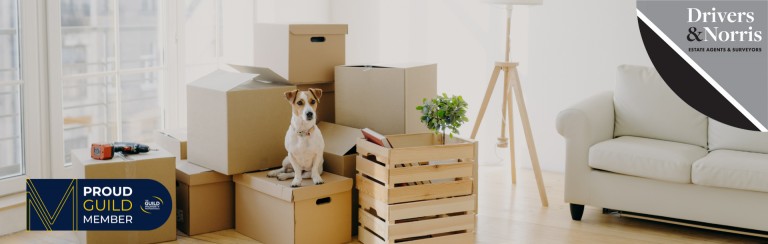 Pets cause more expensive property damage than children - claim