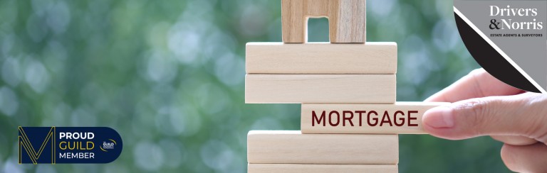 Green shoots of recovery appear in the mortgage market