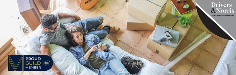 Moving house with a pet – 10 things you need to know first