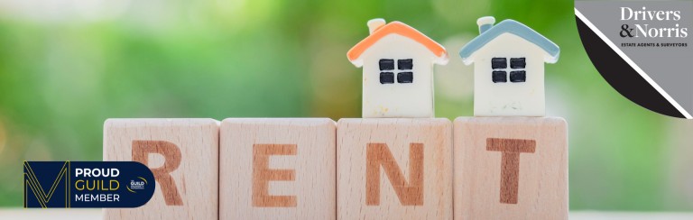 New How to Rent Guide published by government