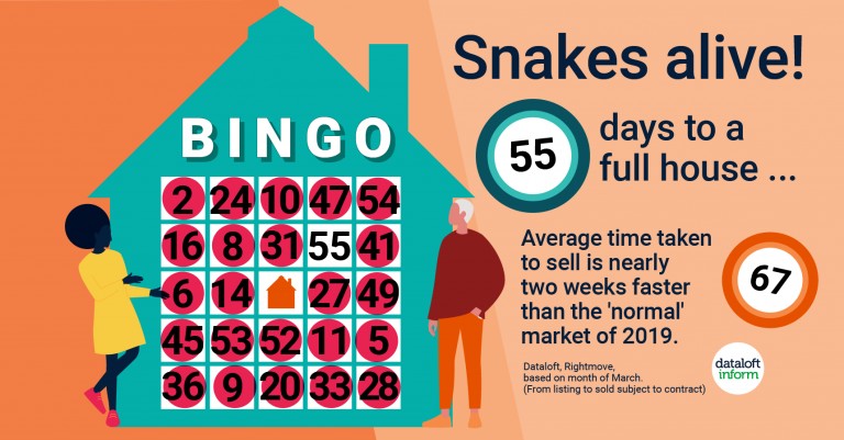 Snakes alive – 55 days to sell