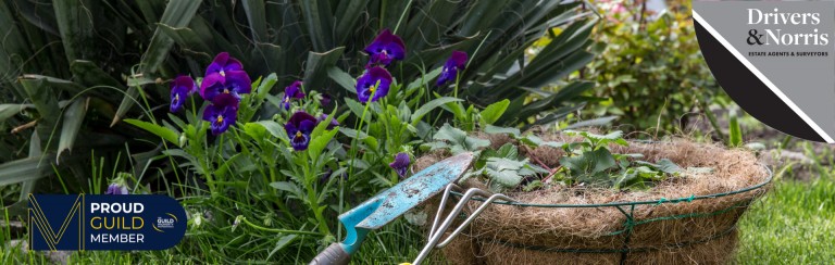 Blooming Lovely: Gardening Tips