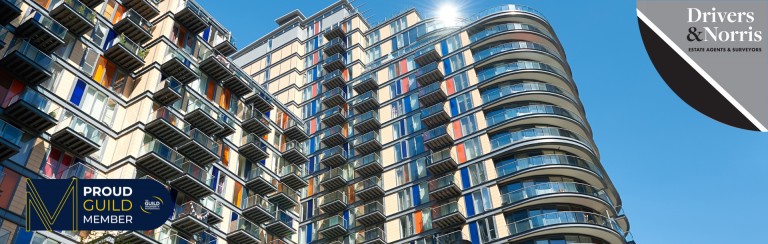 Rental stock availability up 12.1% since last year