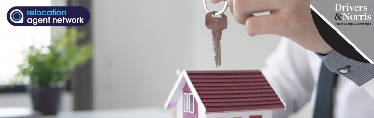 More landlords planning to buy properties, survey shows