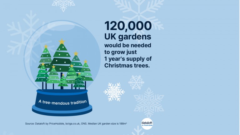 A tree-mendous tradition