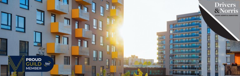 RICS Survey shows UK housing market losing momentum