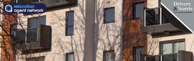 Landlords remain optimistic about 2025 despite concerns over regulation and economy 