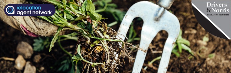 How to Weed-Proof Your Garden Before the Easter Bank Holiday
