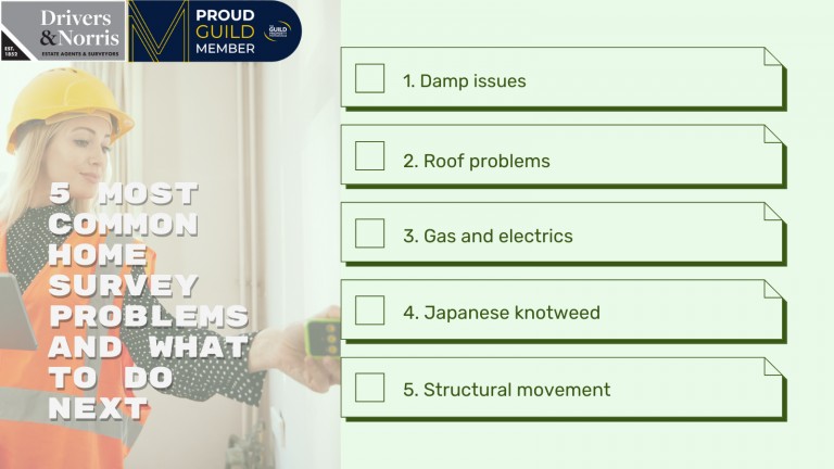 5 Most Common Home Survey Problems and What to do Next