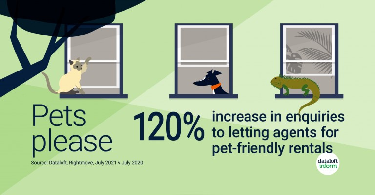 120% increase in enquiries to lettings agents for pet-friendly rentals