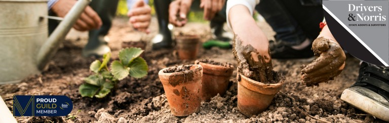 Five ways that gardening could devalue your home