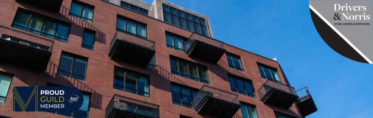 Rent levels hit new high - but there’s a warning they won’t stay there