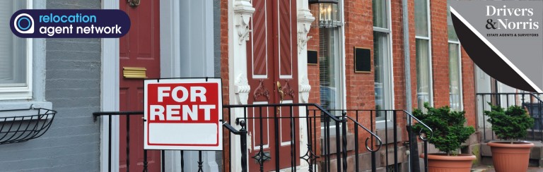Rent to rise this year and the long term - latest market info